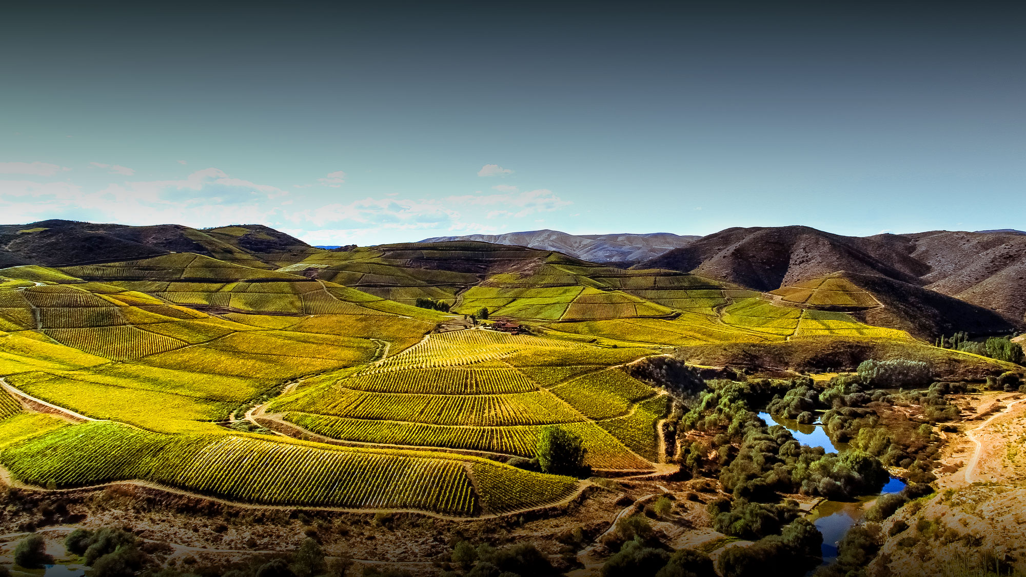 vinhas-rota-oeste