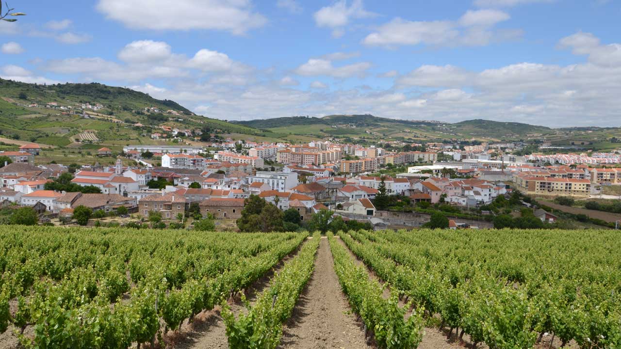 Arruda dos Vinhos