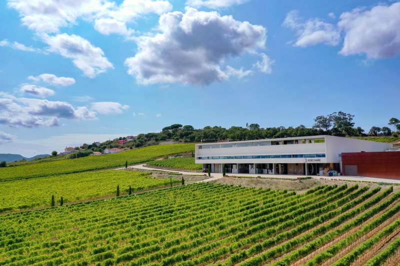 vinicolas-proximas-a-lisboa-adega-mae