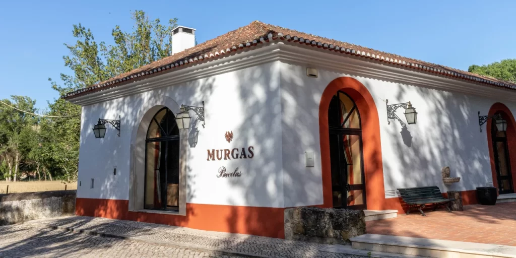 vinicolas-proximas-a-lisboa-quinta-das-murgas