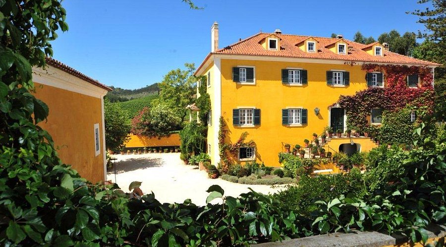 vinicolas-proximas-a-lisboa-quinta-de-sant-ana