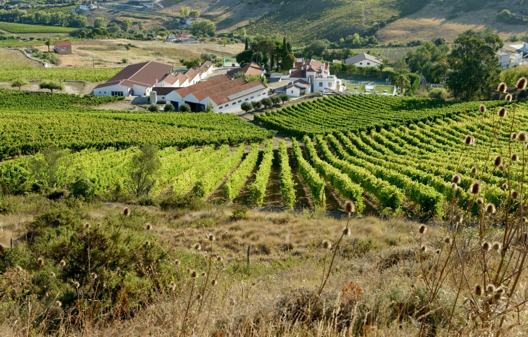 Enoturismo em Arruda dos Vinhos, o Vale Encantado de Lisboa, a 30 minutos da capital portuguesa